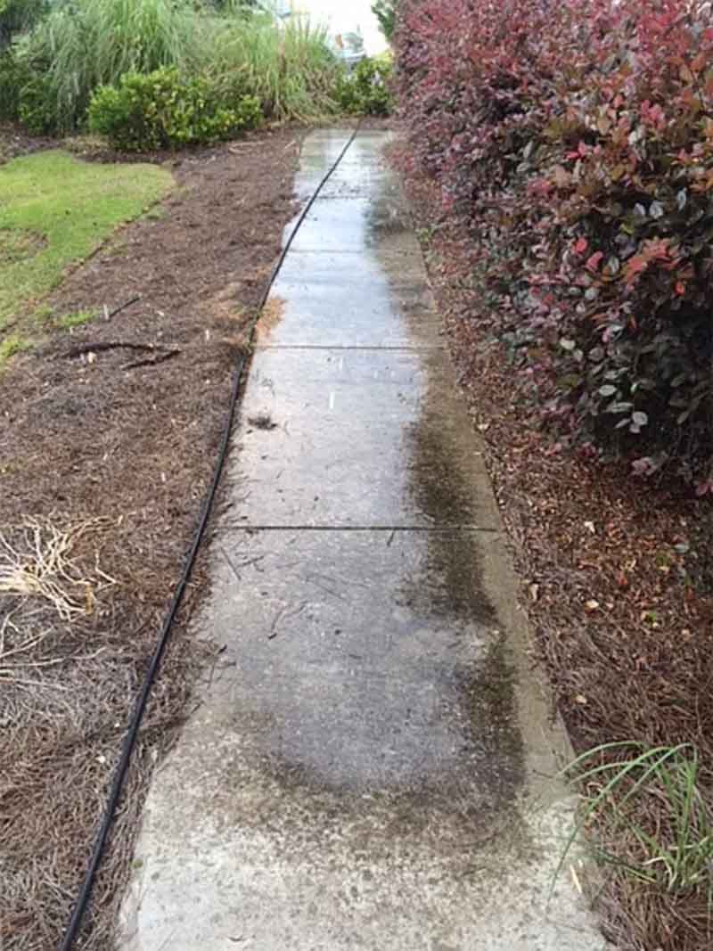 The Different Types of Surfaces That Can Be Pressure Washed