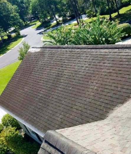 Why Your Roof Should be Professionally Pressure Washed