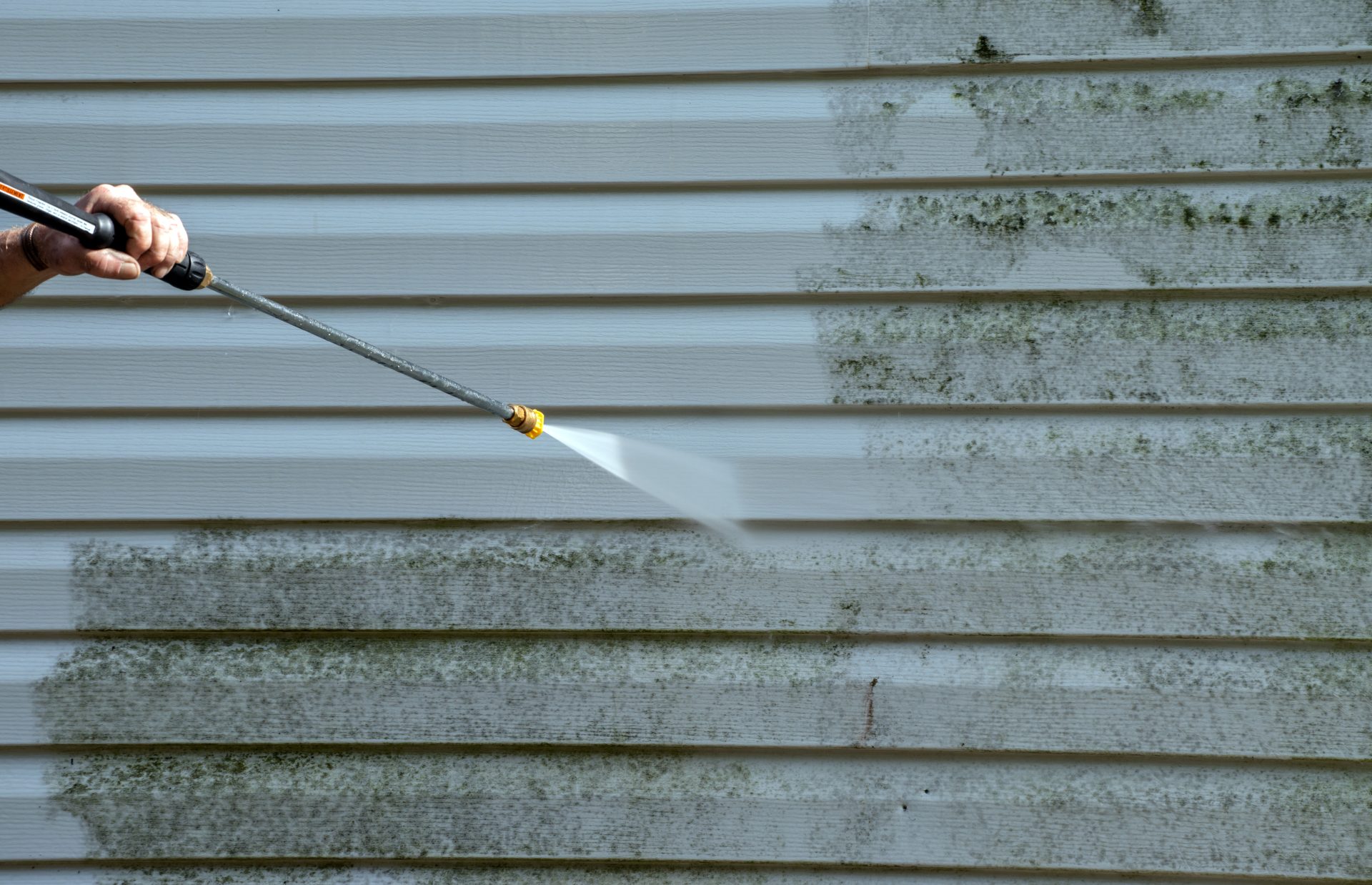 Pressure Washing: Mold and Mildew Removal 
